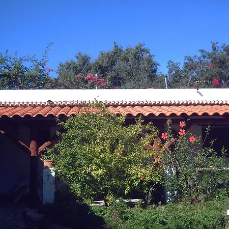 El Abuelo Barbate
